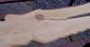 008gator15.jpg (44970 bytes)