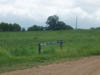 P9010108